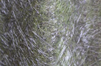 Northfleet fibreglass roof work